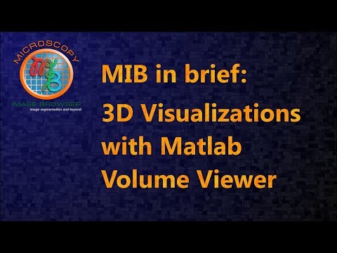 MIB in brief: 3D Visualizations with Matlab  Volume Viewer