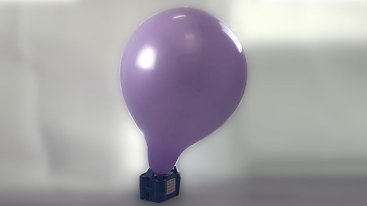 Middle sized purple balloon blow to POP (balloon BTP) #96