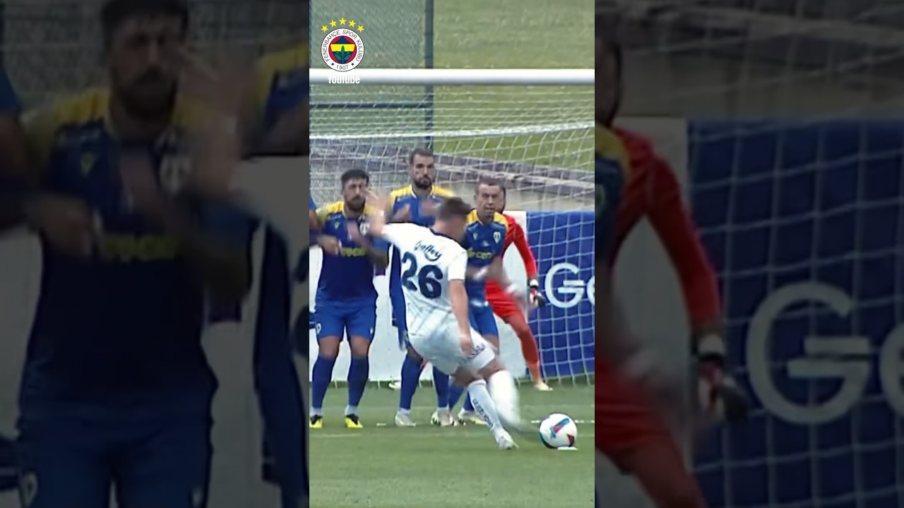 Miha Zajc 🤩 Fenerbahçe 2-1 Petrolul Ploiesti #shorts