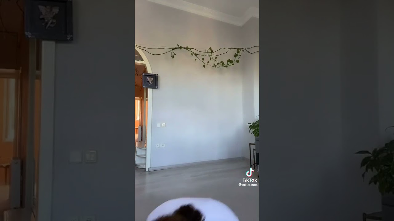 mika raunun memesinin ucu gözüküyor