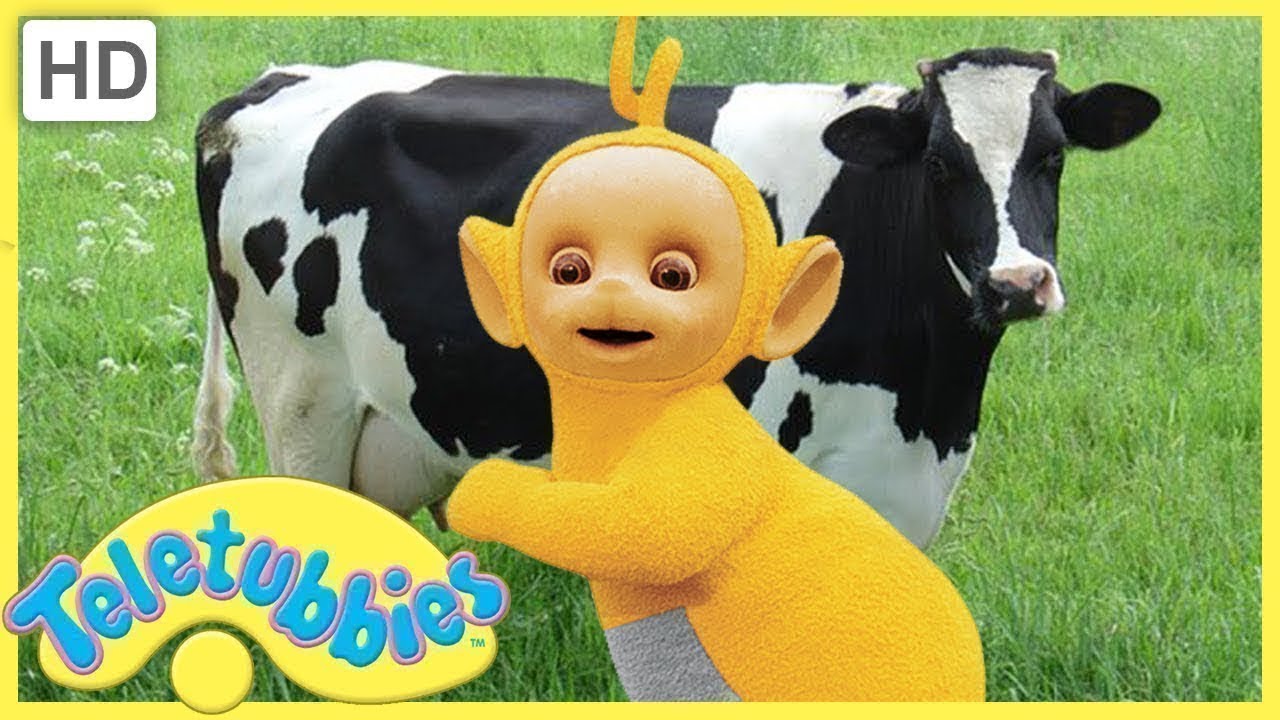 Milking cows | Teletubbies | Live Action Videos for Kids | WildBrain