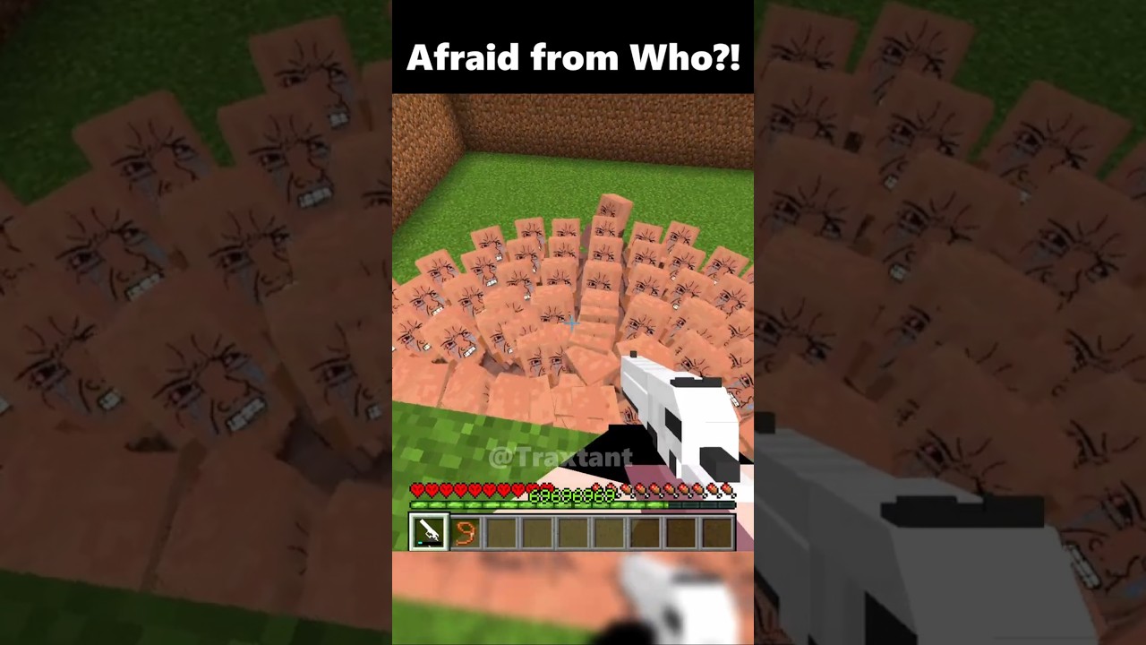 Minecraft Grox Villager