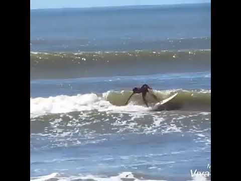 Minha rotina da semana praia ...skate..bikini...ballet