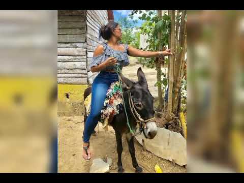 Mini Donkey Riding #ponyriding #horse #donkeyrace #ponyracinghorseriding