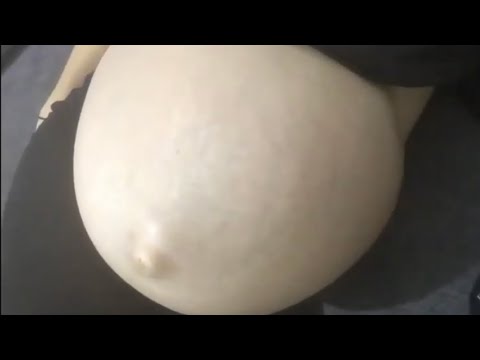 Mini-Bites #2