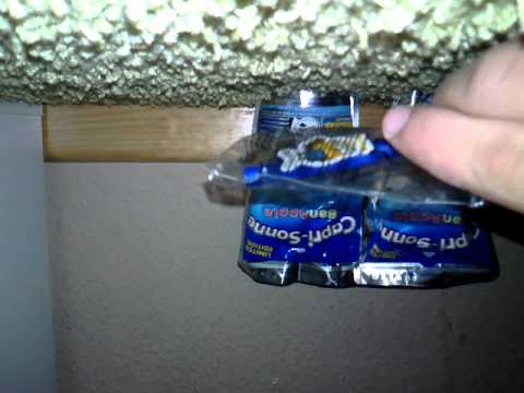 Minions Capri sonne
