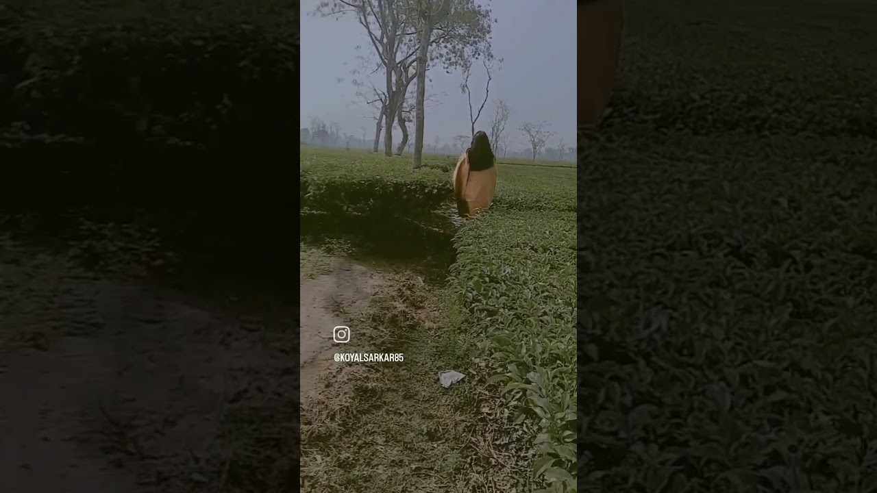 #minivlog