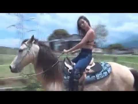 Mistress Hard Whipping And Riding Horse/Pony|Girl Sexy Ride #hard #pony #riding #horse