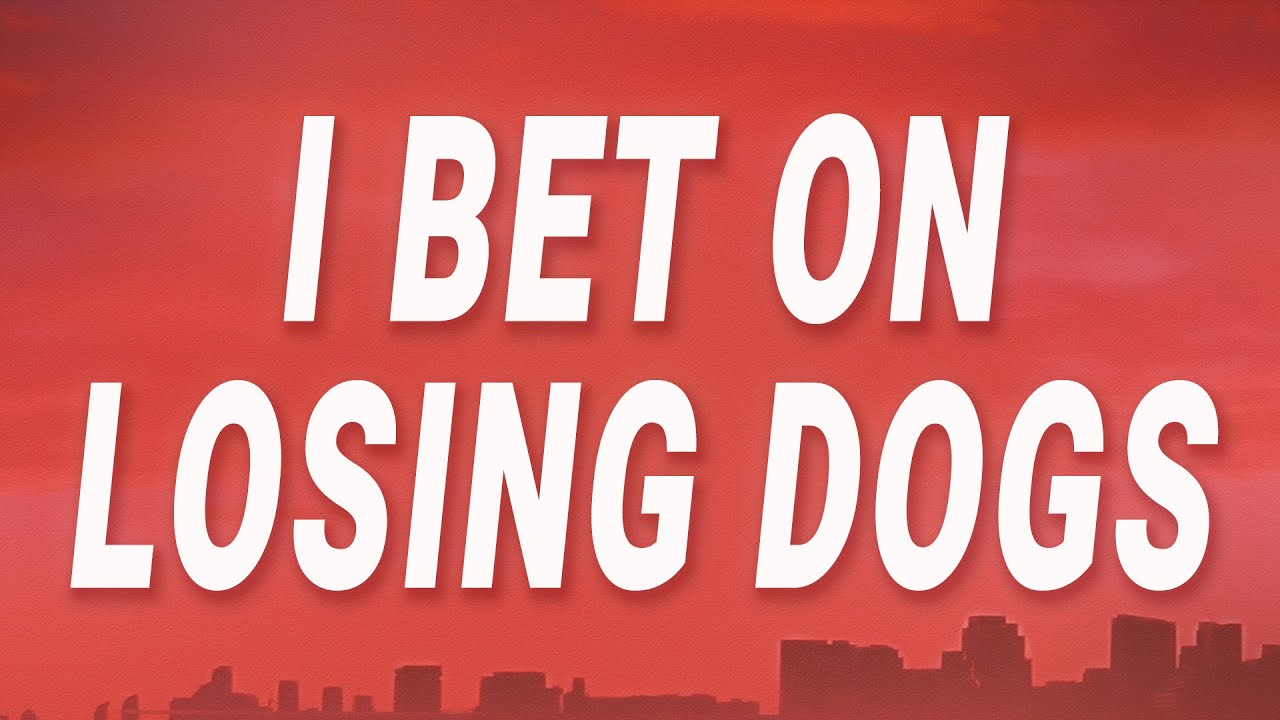 Mitski - I Bet on Losing Dogs (Lyrics)