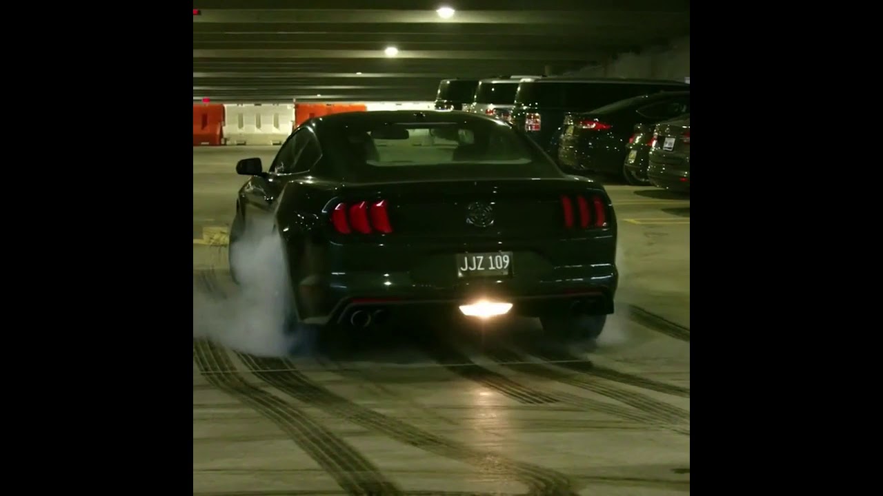 MLive reporter stars in Bullitt Mustang commercial