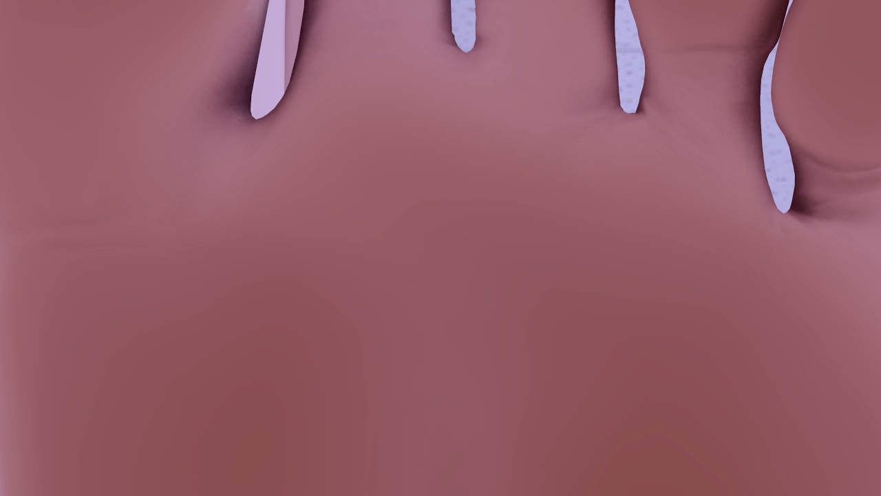 MMD POV BAREFOOT TRAMPLE