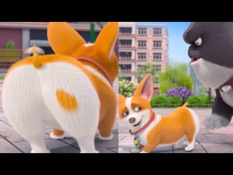 Moco Corgi: Butt Taunt