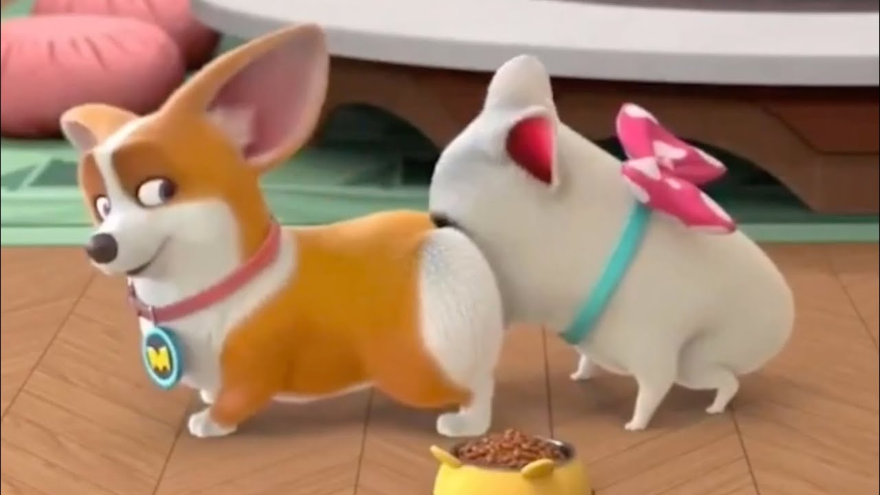 Moco’s Corgi Butt Prank