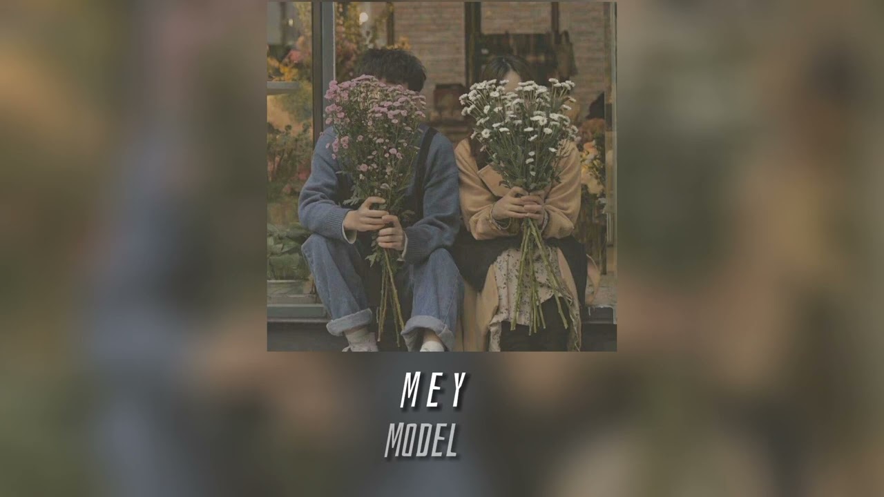 Model - Mey(speed up)