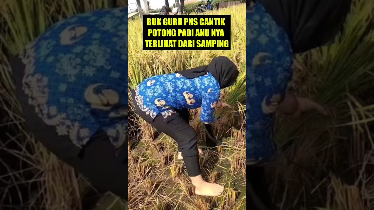 Model Rok Panjang Seragam PNS Cantik Untuk kesawah