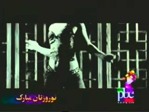 Moein - Bot Parast