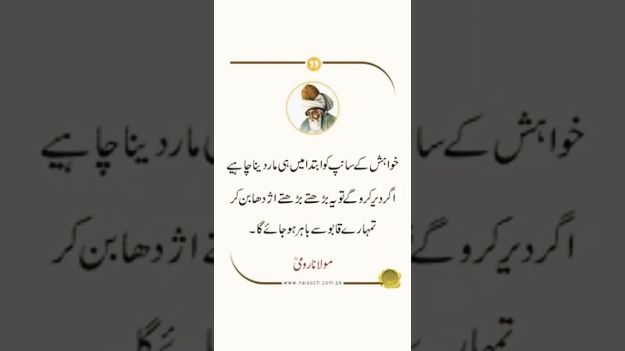 molana romi#quotes