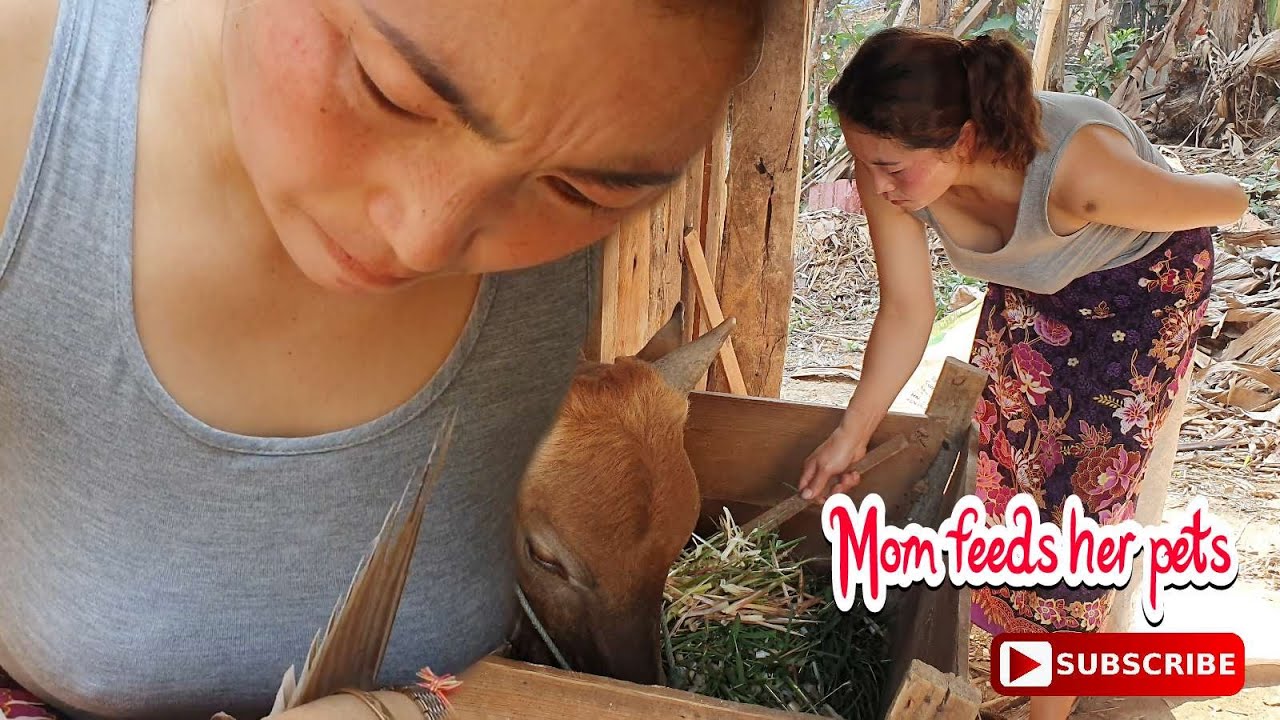 Mom feeds his favorite pets