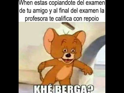 Momos Repoio #3
