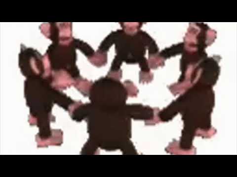 monkey spin