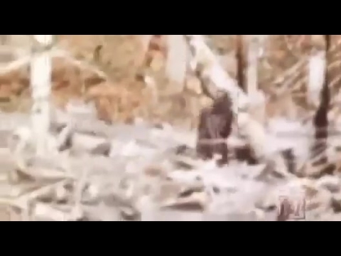 Monster Quest Bigfoot 2015 COME BACK