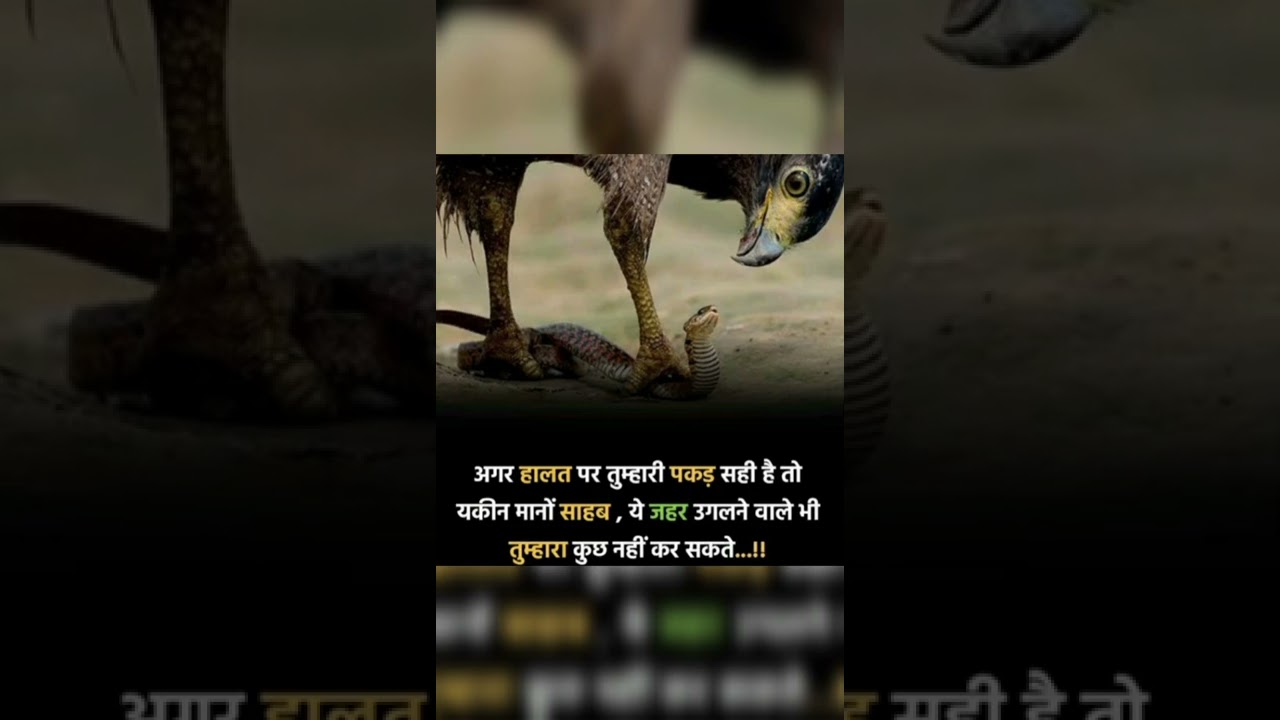 motivational 🔥⚡#shorts #viral #explorer #reels #motivationalshorts #foryoupage