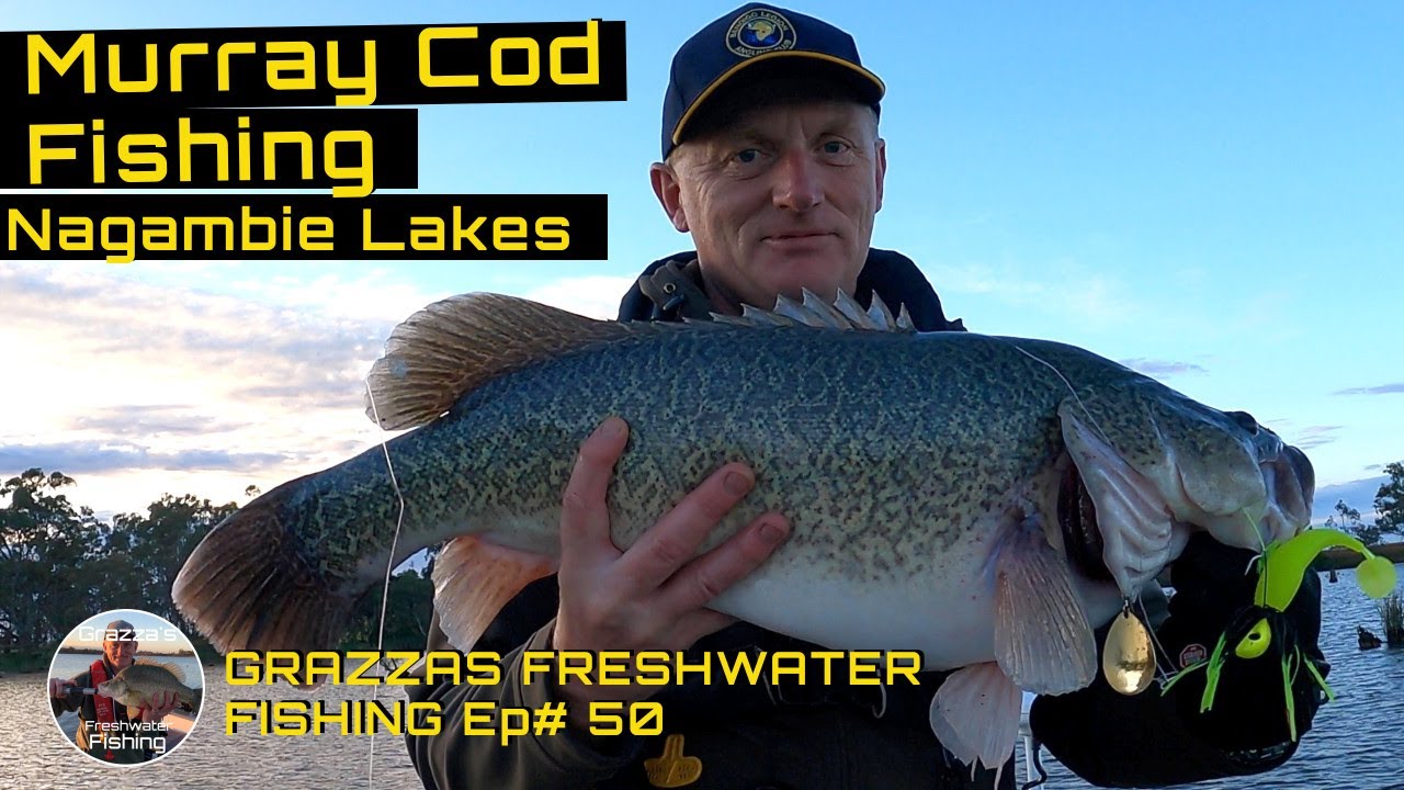 Murray Cod Fishing Nagambie Lakes
