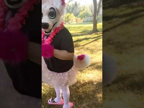 Mursuit surprise