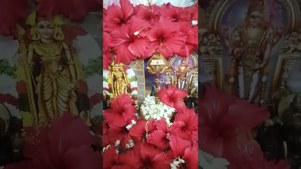 murugaa#🙏🙏🙏