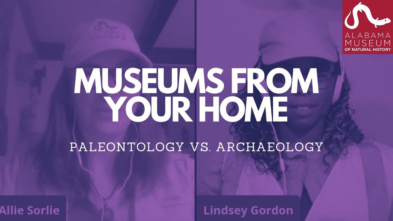 Museums From Your Home: Paleontology vs. Archaeology