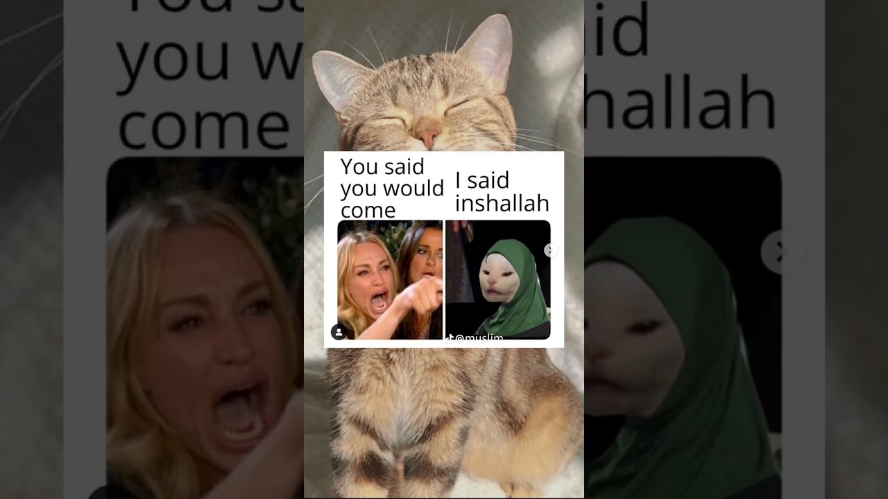 muslim memes || halal jokes