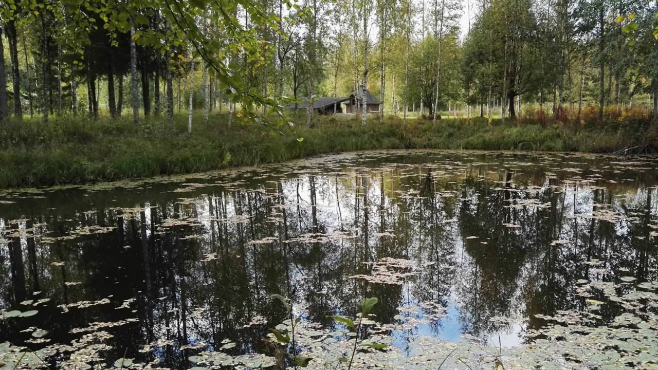 Mustasaarenkeidas ja jokimaisemia,Isojoki