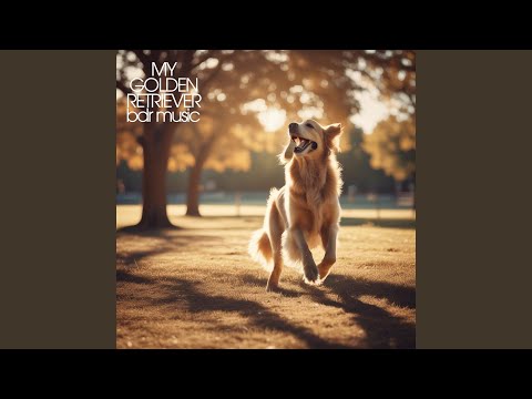 My Golden Retriever