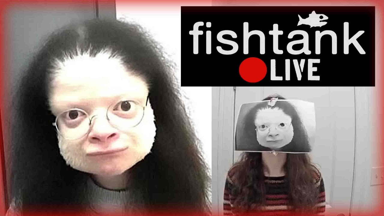 my personal favorite fishtank.live moments
