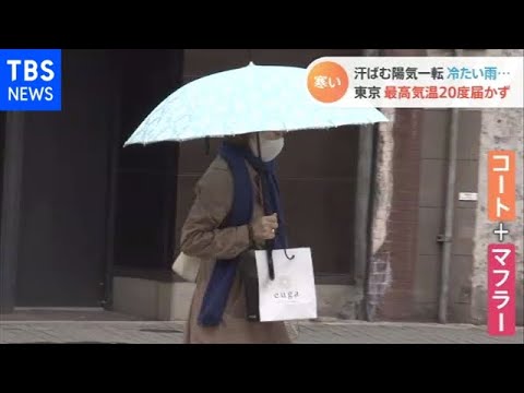 冷たい雨とともに秋到来【Nスタ】