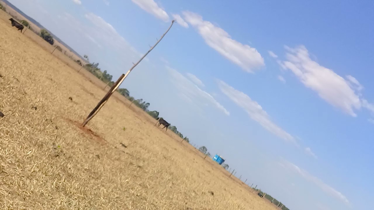 nada de chuva!!!