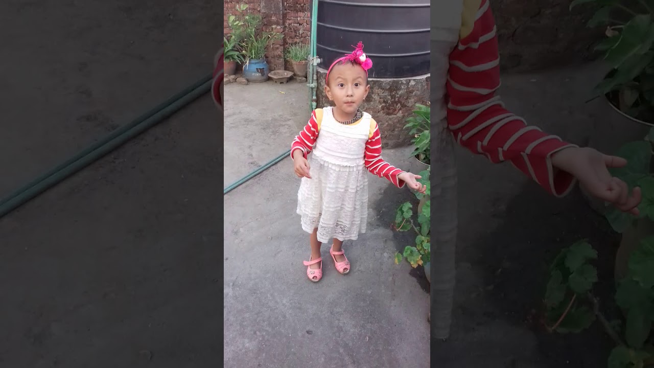 Nepali dance by meghna lama