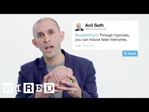 Neuroscientist Anil Seth Answers Neuroscience Questions From Twitter | Tech Support | WIRED