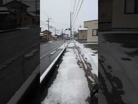 New Japan bus vlog #1