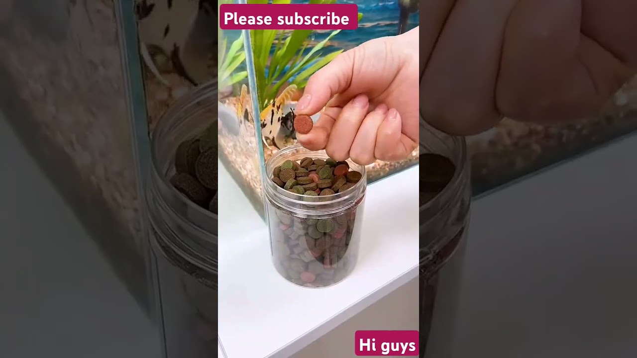 New model fish aquarium for all #shorts #short #ashortaday #fishingvideo #aquarium #fishing