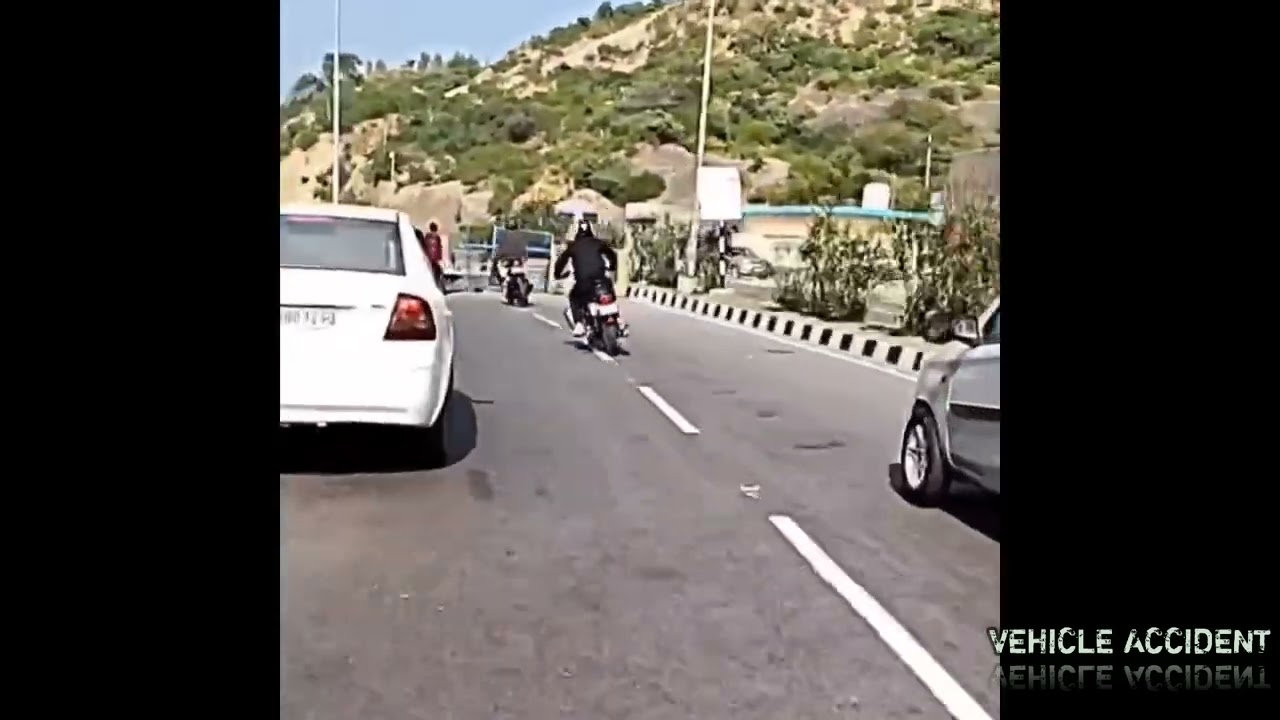 New Zilla viral videos #funnyvideo