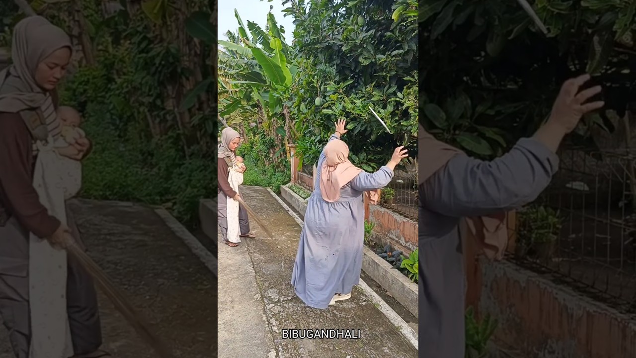 NGEJAR LAYANGAN MALAH NYURI MANGGA ORANG