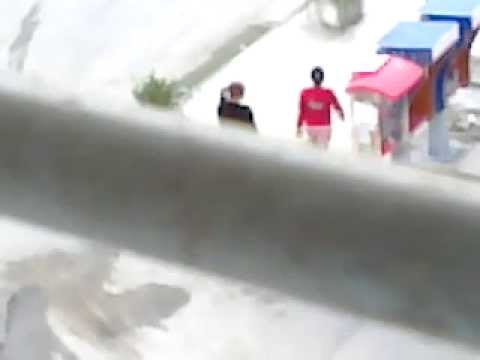 Ngocok intip Paha