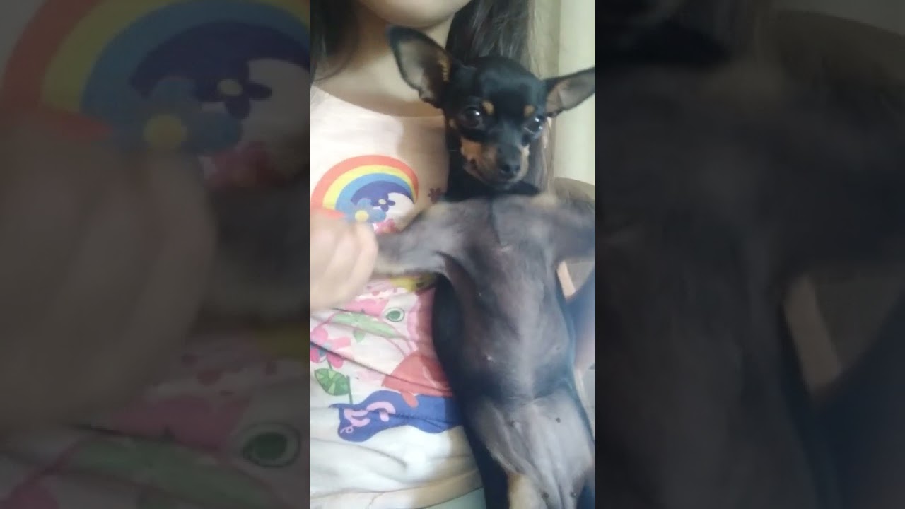 nina dançando