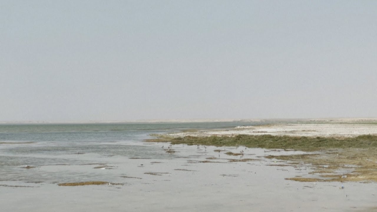'No more water' Iraq drought claims lakeside resort
