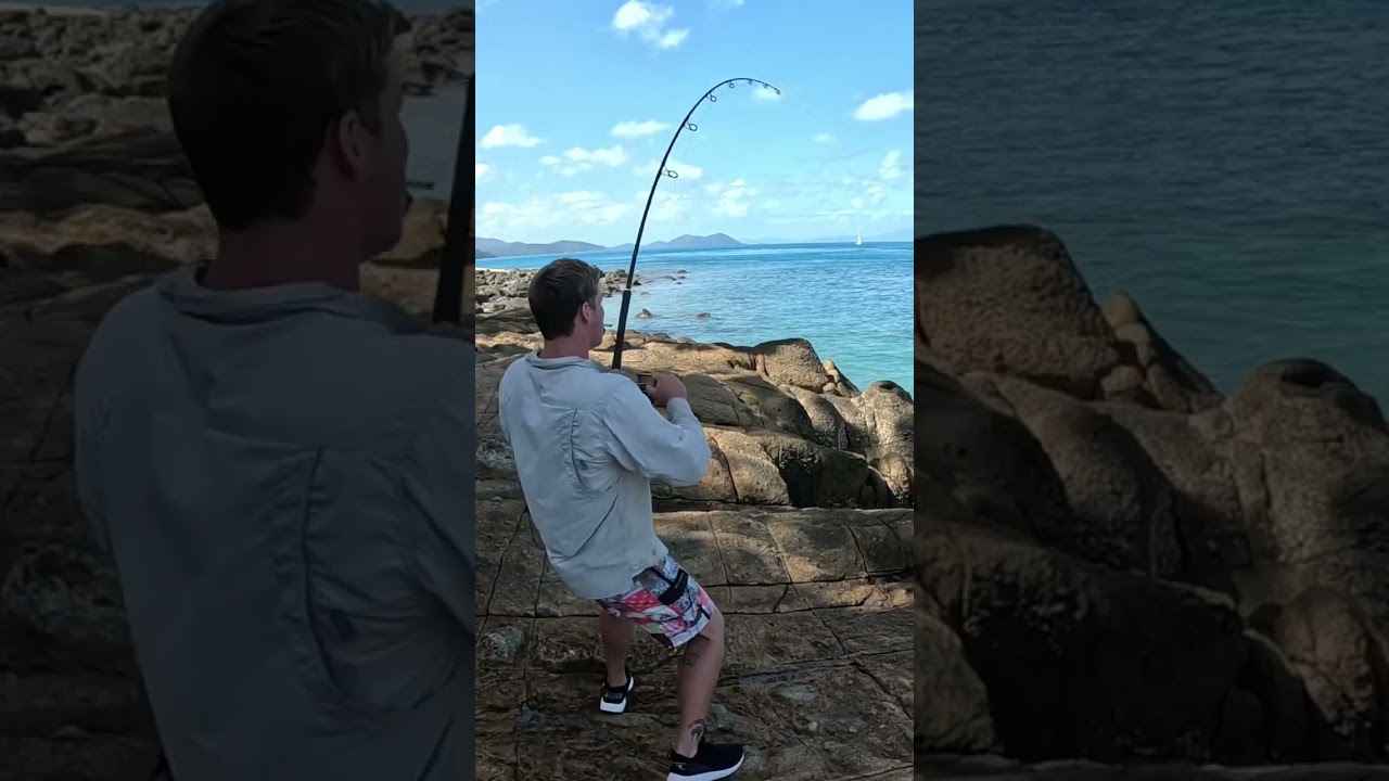 No one’s safe when the pelvic starts to thrust #BigDogsGottaEat #rockfishing #fishing BigFish