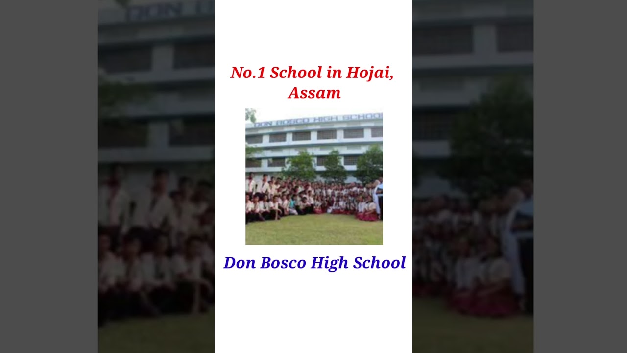 No1 School in Hojai, Assam