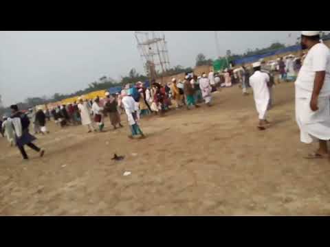 nojul video