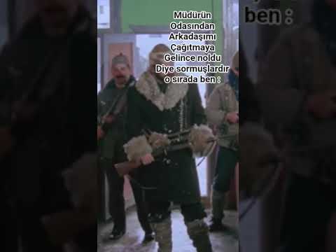 Nolduki yılanoğlu