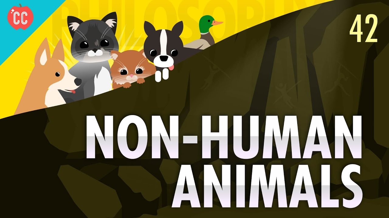 Non-Human Animals: Crash Course Philosophy #42